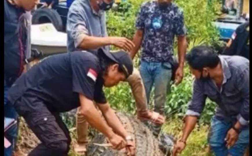 Indonezija: Krokodil progutao dječaka pred očima njegovog oca
